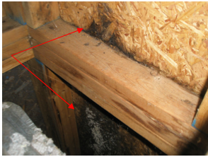 Moisture intrusion photo from sample report